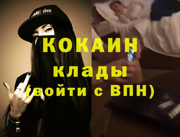 спиды Бородино