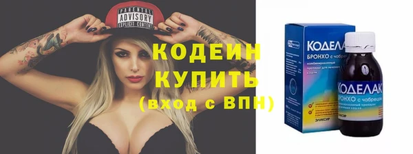 спиды Бородино