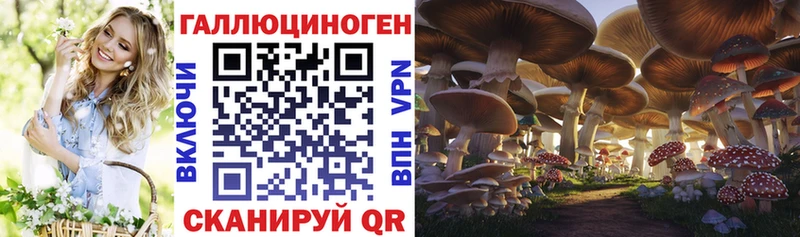 Псилоцибиновые грибы Psilocybine cubensis  Купить где  Соль-Илецк 